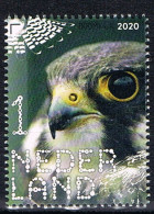 D(B) 212 ++ NEDERLAND NETHERLANDS BIRDS OF PREY ROOFVOGELS OISEAUX MNH ** - Ongebruikt