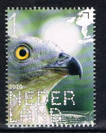 D(B) 212 ++ NEDERLAND NETHERLANDS BIRDS OF PREY ROOFVOGELS OISEAUX MNH ** - Ongebruikt