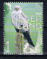 D(B) 212 ++ NEDERLAND NETHERLANDS BIRDS OF PREY ROOFVOGELS OISEAUX MNH ** - Ongebruikt