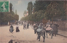 MONTMORENCY                BOULEVARD DE L ERMITAGE     . PROMENADE A L ANE     COLORISEE - Montmorency