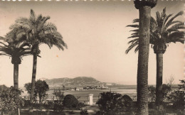 ESPAGNE - Algeciras (Càdiz) - El Penon De Gibraltar, Desde El Hotel Reina Cristina - Carte Postale Ancienne - Cádiz