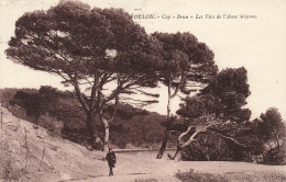 FRANCE - Toulon - Cap - Brun - Les Pins De L'Anse Méjean - Carte Postale Ancienne - Toulon