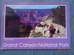 GRAND CANYON NATIONAL PARK  "  MULE TRAIN  " - Grand Canyon