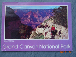 GRAND CANYON NATIONAL PARK  "  MULE TRAIN  " - Gran Cañon