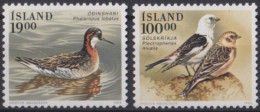 F-EX47513 ICELAND ISLAND MNH 1989 BIRD AVES PAJAROS.  - Verzamelingen, Voorwerpen & Reeksen