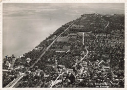 SUISSE - Uttwil - Bodensee - Fliegeraufnahme - Carte Postale - Uttwil