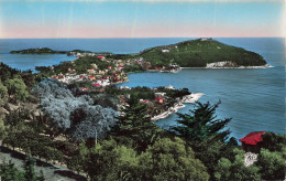 FRANCE - Beaulieu Sur Mer - Le Cap Ferrat - Carte Postale - Beaulieu-sur-Mer