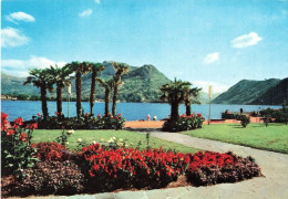 SUISSE - Lugano - Monte Bré - Carte Postale - Lugano