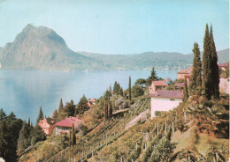 SUISSE - Lugano - Castagnola - Panorama - Carte Postale - Lugano