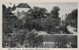 Hessisch Oldendorf (D-A419) - Hessisch-Oldendorf