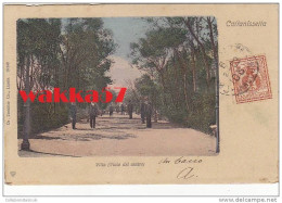 $3-2486- Caltanissetta - Villa (Viale Del Centro) - F.p. Viaggiata - Caltanissetta