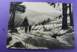 Ventron   Chemin Des Vintergès.  Vosges D88 - Sonstige & Ohne Zuordnung