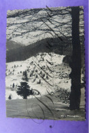 Ventron    Vue Sur La Vallée De Mensfoux. Vosges D88 - Sonstige & Ohne Zuordnung