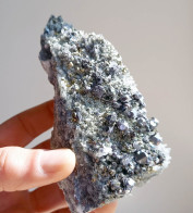 #AUG03.06 Beautiful GALENA With Pyrite Crystals (Nikolaevskoye Mine, Dalnegorsk, Primorskiy Kray, Russia) - Mineralen