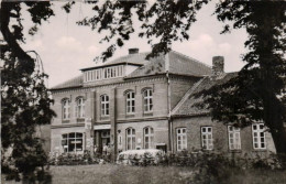 Hansühn / Oldenburg / Gastaus Zu Den Linden (D-A420) - Oldenburg (Holstein)