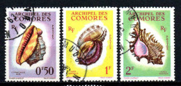 Archipel Des Comores  - 1962  - Coquillages-  N° 19 à 21   - Oblit - Used - Gebraucht