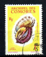 Archipel Des Comores  - 1962  - Coquillages-  N° 20   - Oblit - Used - Usati