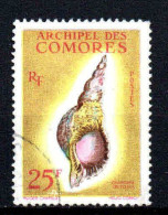 Archipel Des Comores  - 1962  - Coquillages-  N° 24   - Oblit - Used - Gebraucht