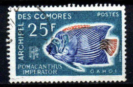 Archipel Des Comores  - 1968  - Poissons  -  N° 48   - Oblit - Used - Gebruikt