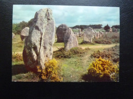 LES ALIGNEMENTS DE CARNAC Années 60 - Dolmen & Menhire