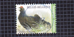 2013 Nr 4305 Gestempeld (zonder Gom).Vogel:Korhoen / Tetras Lyre. - Usados