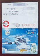 Polar Bear,Dolphin,Antarctic Penguin,Arctic Walrus,CN07 Qingdao Polar Aquarium New Year Pre-stamped Letter Card - Delfines