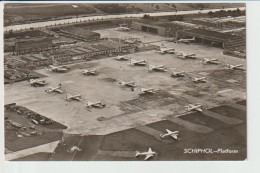 Vintage Rppc KLM K.L.M Royal Dutch Airlines Constellation Convair & Douglas Dc-6 Dc7 @ Schiphol Airport - 1919-1938: Entre Guerres