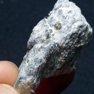 #1.46 - Granato Andradite DEMANTOIDE Cristalli (Val Malenco, Sondrio, Italia) - Mineralien