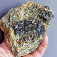 #1.52 Cristalli Nero-blu QUARZO 'beta' Con Rose Di Barite (Modena, Italia) - Mineralien