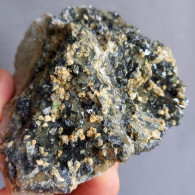 #1.53 Cristalli Nero-blu QUARZO 'beta' Con Rose Di Barite (Modena, Italia) - Minerals