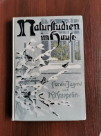 Naturstudien Im Hause - Ein Buch Für Die Jugend Von Damals 1910 - Ohne Zuordnung