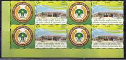 Block Of 4 Customized Stamp 2023 India MNH India Institute Of Ayurveda Goa, Health, Medicine, Drug Devp.,Tree  - Blokken & Velletjes