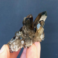 #11 - Beaux Cristaux De QUARTZ MORIONE (Kara-Oba W Deposit, Moiynkum, Jambyl Region, Kazakhstan) - Minerales