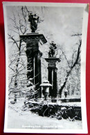 Rheinsberg / Mark- 1955 Schloss Park Winter Portal - Historische PK - Brandenburg - Echt Foto - Rarität - Rheinsberg