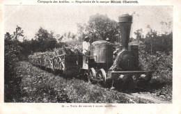 Martinique - Train De Cannes à Sucre - Antille - Ligne Chemin De Fer - Pub Publicité Rhum CHAUVET Compagnie Des Antilles - Autres & Non Classés