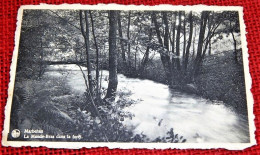 MARBEHAN  -  La Mande-Bras Dans La Forêt - Habay