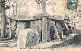 Bagneux Près De  Saumur      49       Le  Grand Dolmen     -  4  -   (voir Scan) - Saumur