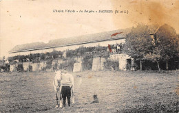 Bagneux Près De  Saumur      49      Anjou Viticole. La Bergère .  (voir Scan) - Saumur