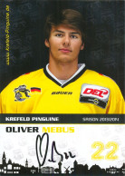 AK Oliver Mebus Krefeld Pinguine 13-14 KEV Dormagen Lausitzer Füchse Nürnberg Ice Tigers Kölner Haie Düsseldorfer EG DEG - Winter Sports