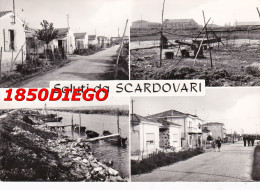 SALUTI DA SCARDOVARI - VEDUTINE  F/GRANDE VIAGGIATA ANIMATA - Rovigo