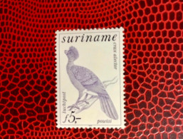 SURINAME 1979 1v Neuf MNH ** Mi 853 Pájaro Bird Pássaro Vogel Ucello Oiseau SURINAME - Gallináceos & Faisanes