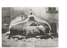 Aups (83) : La Fontaine Sous La Neige En 1950 GF. - Aups