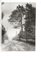 Aups (83) : La Rue Principale Sous La Neige En 1950 GF. - Aups