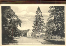 41404076 Eichhorst Eberswalde Hubertusstock Gasthaus Zur Schorfheide Schorfheide - Finowfurt