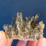 #15 - Beaux Cristaux De QUARTZ MORIONE (Kara-Oba W Deposit, Moiynkum, Jambyl Region, Kazakhstan) - Mineralien