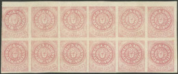 ARGENTINA: GJ.7, 5c. Rose With Accent Over The U, Beautiful Corner Block Of 12, Mint Original Gum (+50%). Some With Mino - Unused Stamps