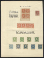 ARGENTINA: Album Page Of A Very Old Collection With 18 Stamp FORGERIES Or REPRINTS, Including A Block Of 4 And A Strip O - Ongebruikt