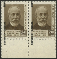 ARGENTINA: GJ.707 2,40P. Florentino Ameghino, Pair With DRAMATICALLY SHIFTED OVERPRINT Variety, Spectacular! - Dienstmarken