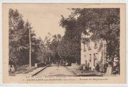 102 DEPT 70 : édit. Ch Laurent N° 7 : Saint Loup Sur Sémousse Avenue De Magnoncourt - Saint-Loup-sur-Semouse