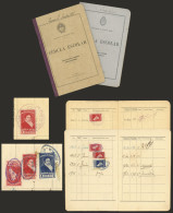 ARGENTINA: 2 School Cards Of Primary School Pupils With Revenue Stamps For SCHOOL ENROLMENT With Value Of 1P., Used In 1 - Autres & Non Classés